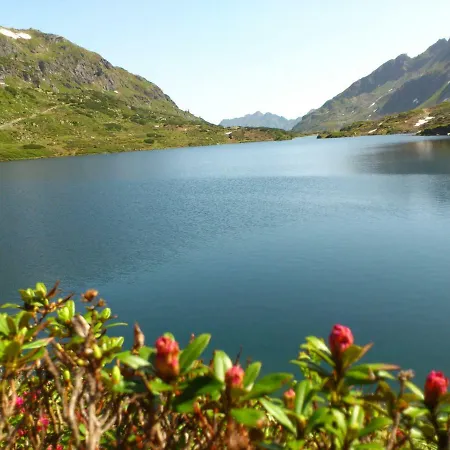 Sonnenschein Apartment