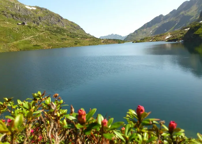 Sonnenschein Apartamento